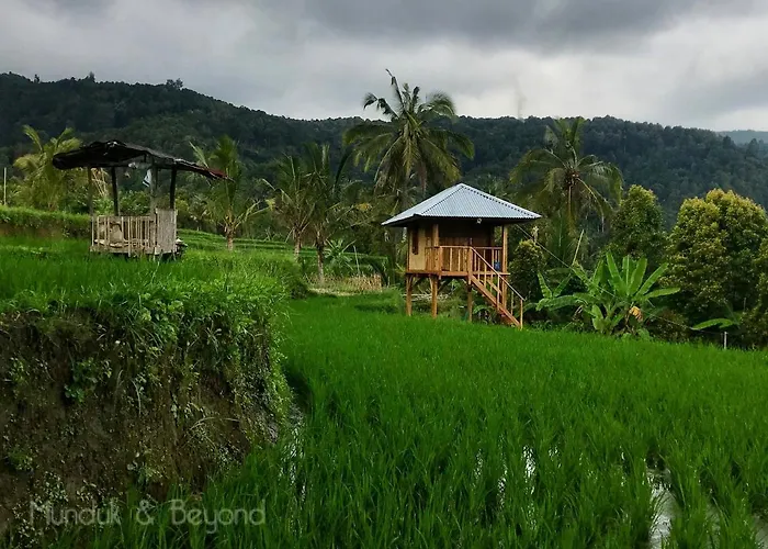 Umah De Madya & Rooftop De Madya Munduk